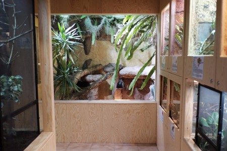 zoopark-zajezd-prvni-vnitrni-expozice-nasi-zoo-teraria-s-takrka-30-druhy-nejen-plazu